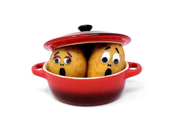 scared potatoes in a pot