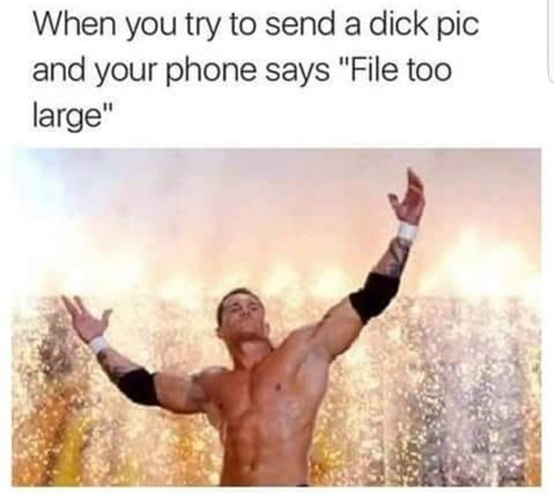 WWE meme - When you try to send a dick pic and your phone says "File too large"