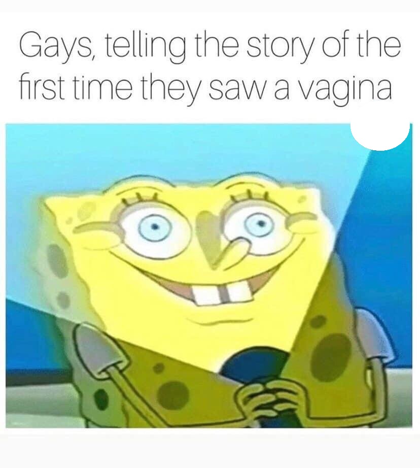 spongebob memes - Gays, telling the story of the first time they saw a vagina