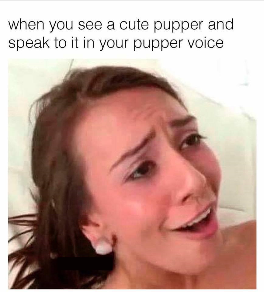 porn meme - when you see a cute pupper and speak to it in your pupper voice