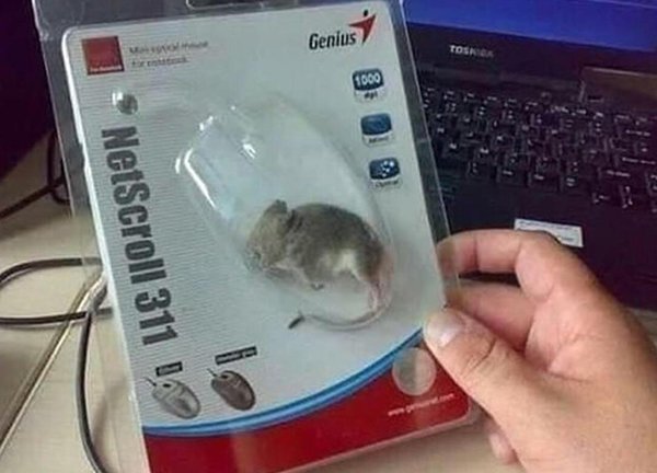 cursed images - mouse fail - Tos 1000 Genius NetScroll 311 I.