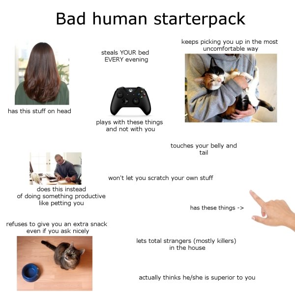 Meme - Bad human starterpack keeps picking you up in the most uncomfortable way steals Your bed Every evening has this stuff on head plays with these things and not with you touches your belly and tail won't let you scratch your own stuff does this instea