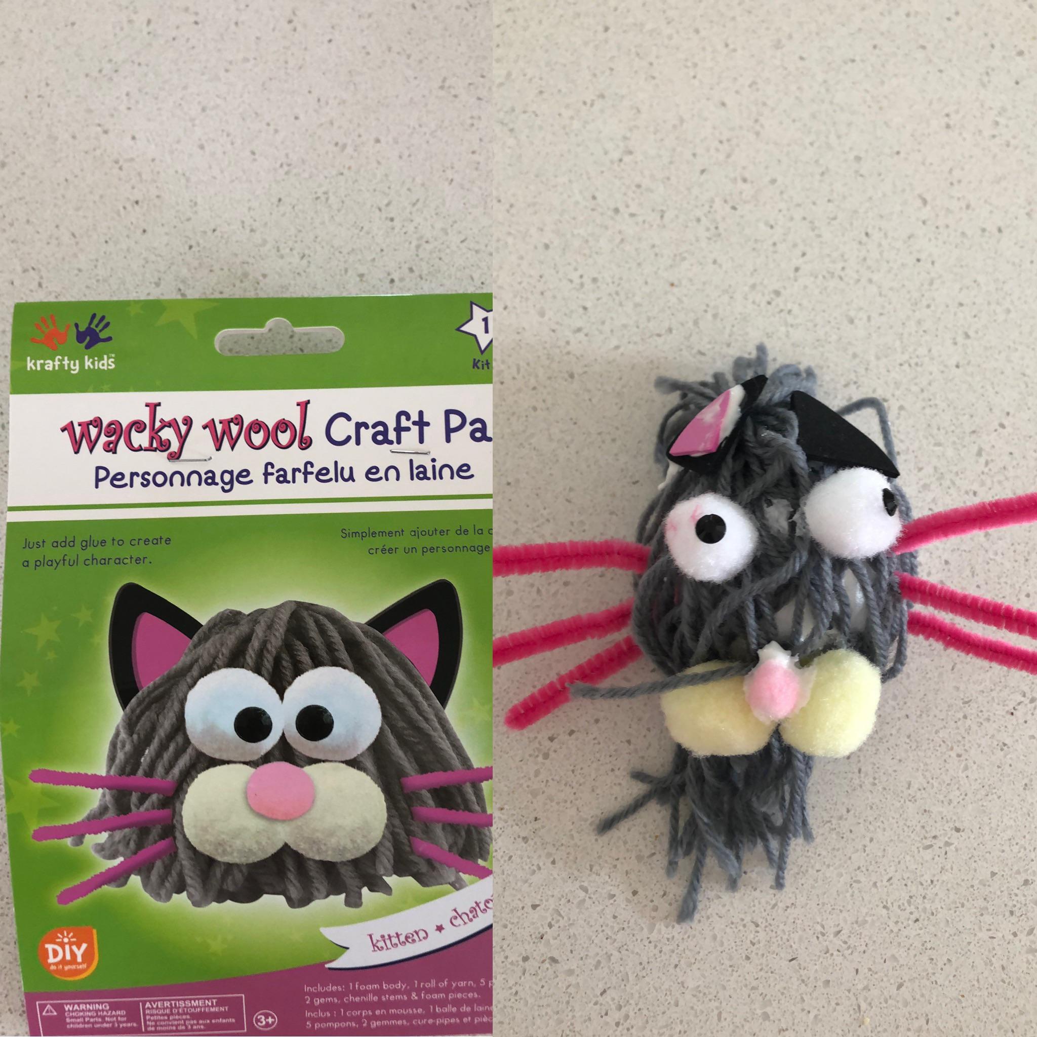 Expectation vs. Reality - plush krafty kids Kit Wacky Wool Craft Personage just add glue to create a playful character