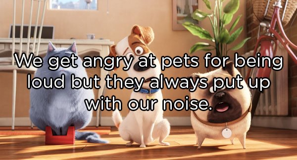 secret life of pets - We get angry at pets for being loud but they always put up with our noise.