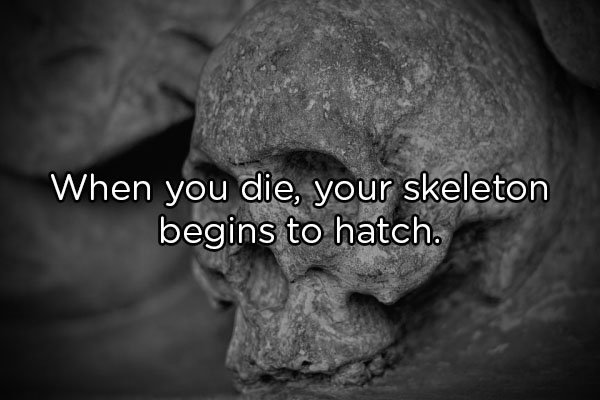 When you die, your skeleton begins to hatch.