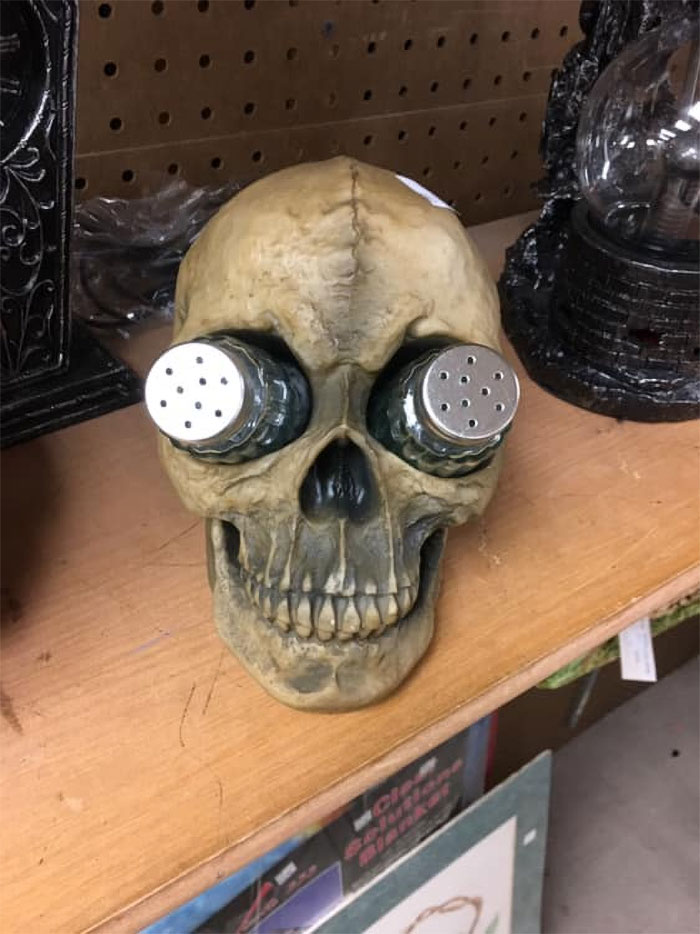 thrift store find skull