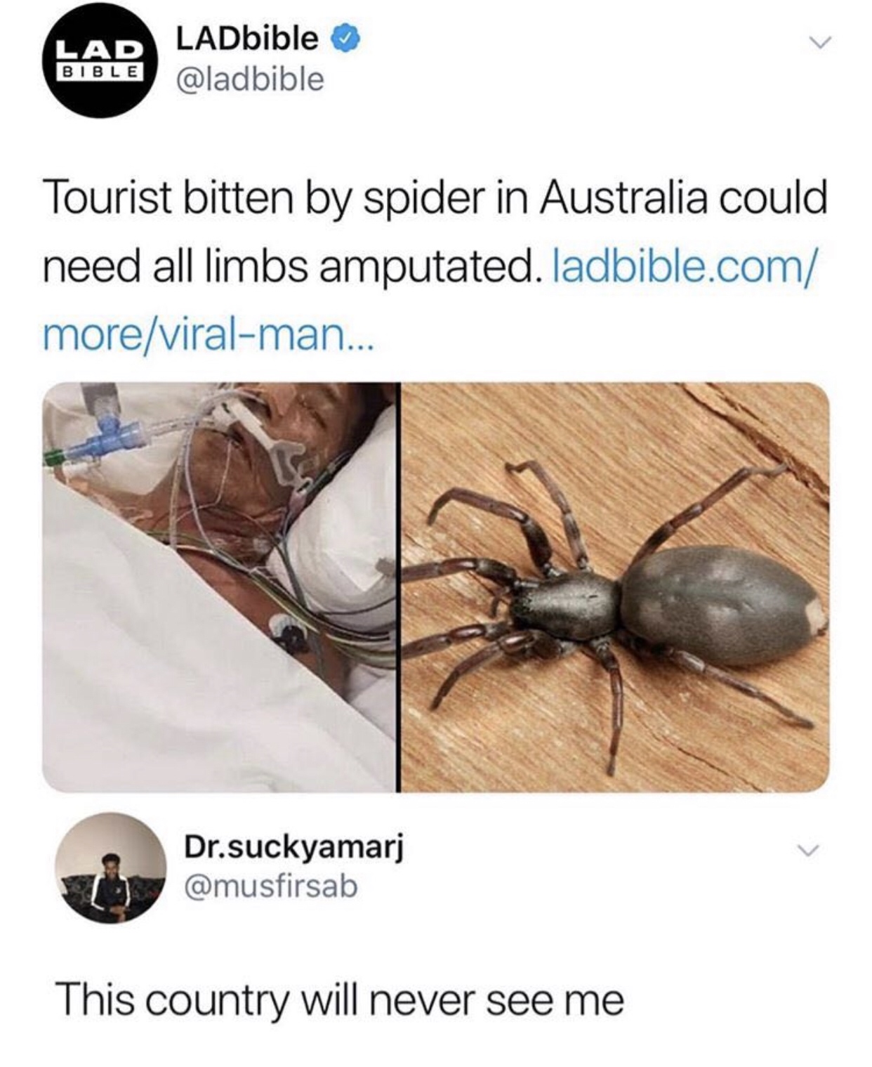 lad bible funny - Lad Bible LADbible Tourist bitten by spider in Australia could need all limbs amputated. ladbible.com moreviralman... Dr.suckyamarj This country will never see me