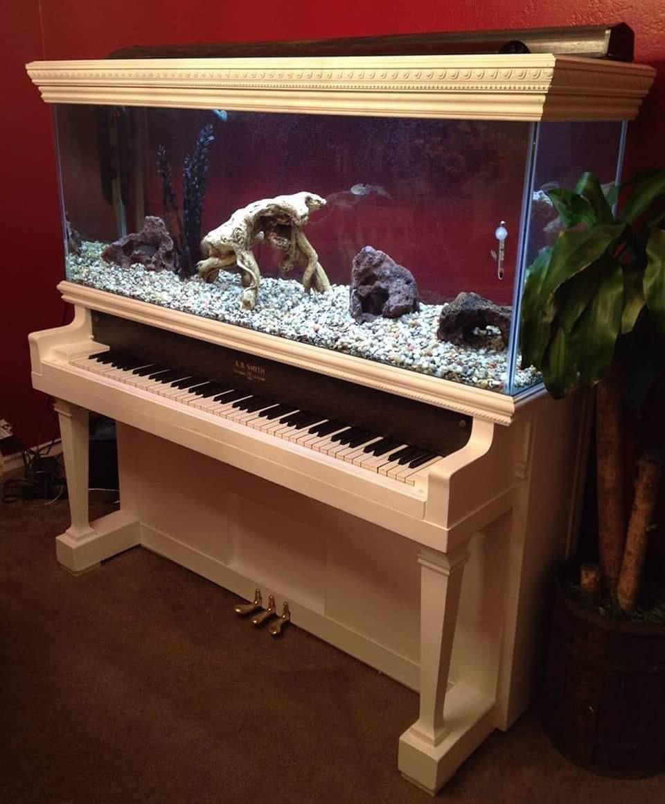 piano aquarium