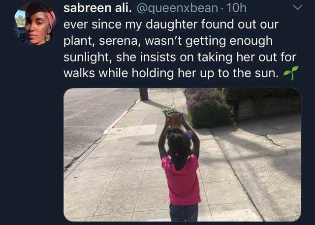 fbi warning on movies - sabreen ali. . 10h ever since my daughter found out our plant, serena, wasn't getting enough sunlight, she insists on taking her out for walks while holding her up to the sun.