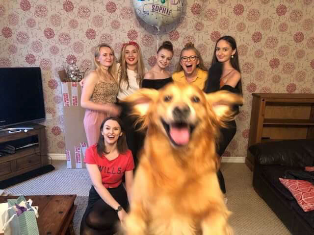 dog photobomb bbc - U Sophie