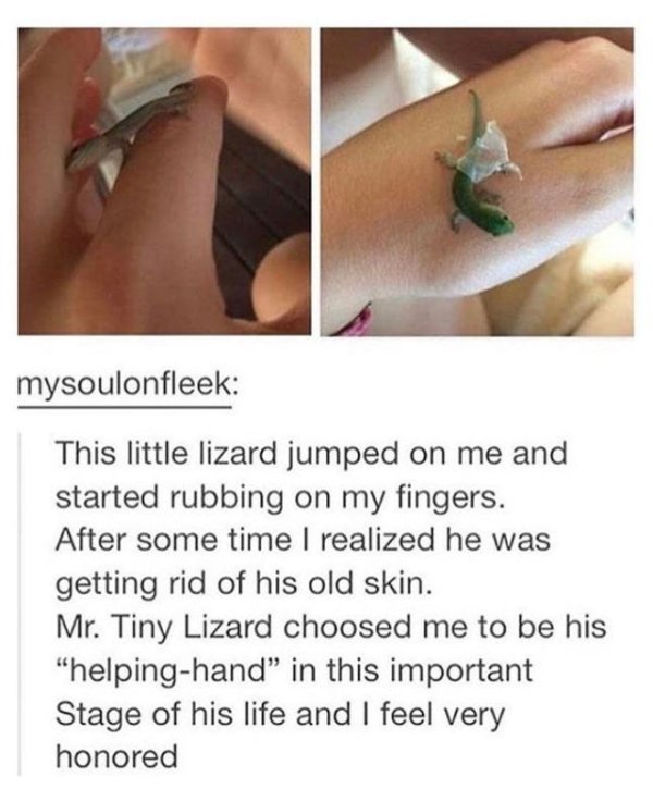 nail - mysoulonfleek This little lizard jumped on me and started rubbing on my fingers. After some time I realized he was getting rid of his old skin. Mr. Tiny Lizard choosed me to be his "helpinghand" in this important Stage of his life and I feel very h