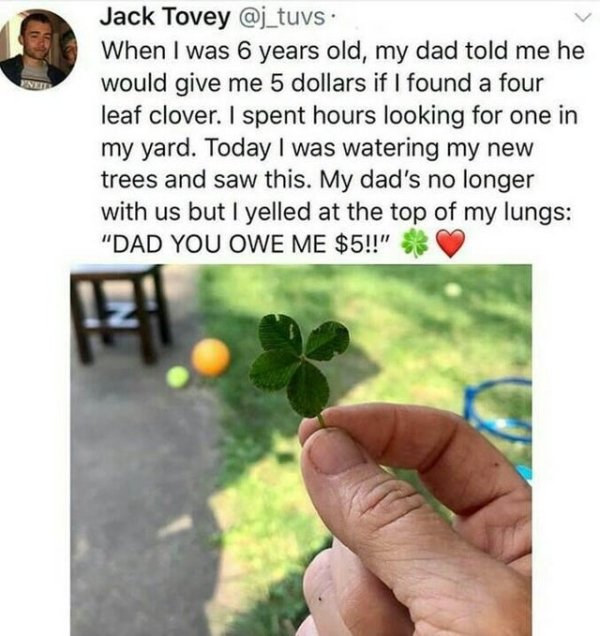 dad you owe me 5 dollar - Jack Tovey . When I was 6 years old, my dad told me he would give me 5 dollars if I found a four leaf clover. I spent hours looking for one in my yard. Today I was watering my new trees and saw this. My dad's no longer with us bu