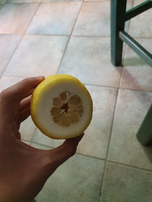 lemon