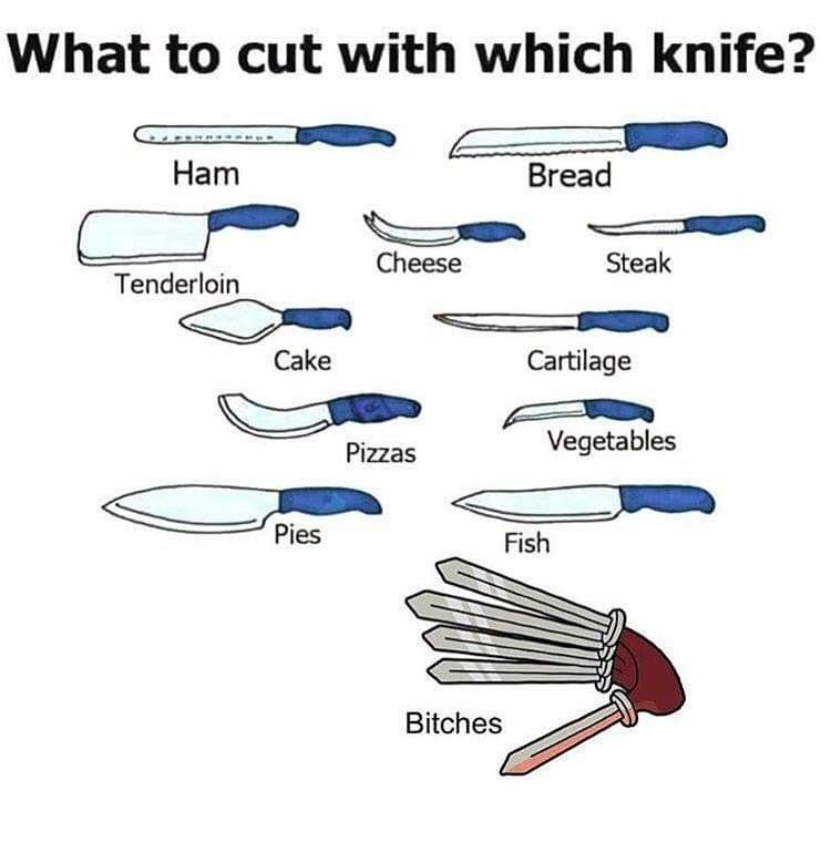 cut with which knife bitches - What to cut with which knife? Ham Bread Cheese Steak Tenderloin Cake Cartilage Pizzas Vegetables Pies Fish Dat Bitches