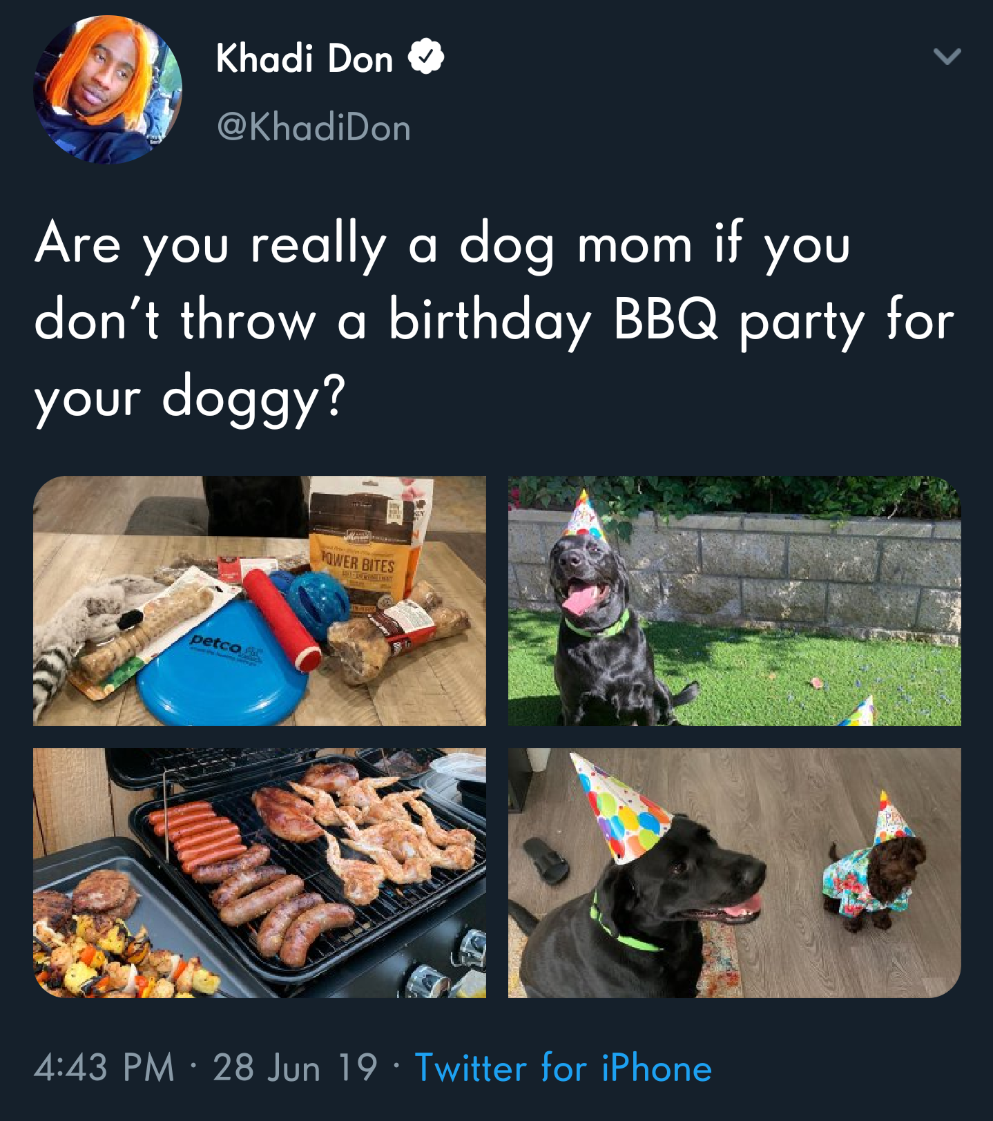 black twitter - Are you really a dog mom if you don't throw a birthday Bbq party for your doggy?