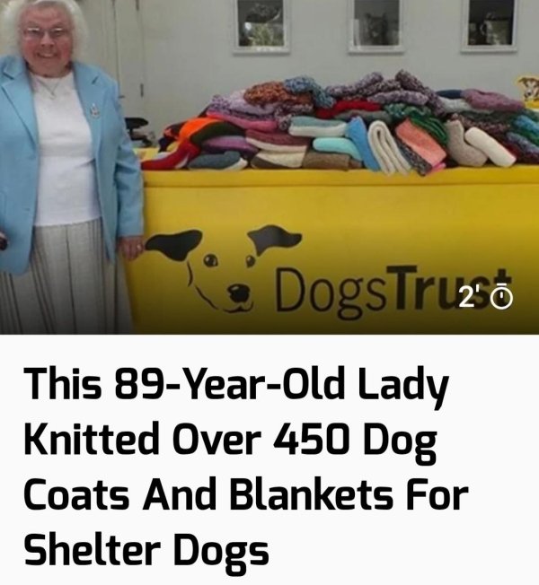 dogs trust - DogsTruzo This 89YearOld Lady Knitted Over 450 Dog Coats And Blankets For Shelter Dogs