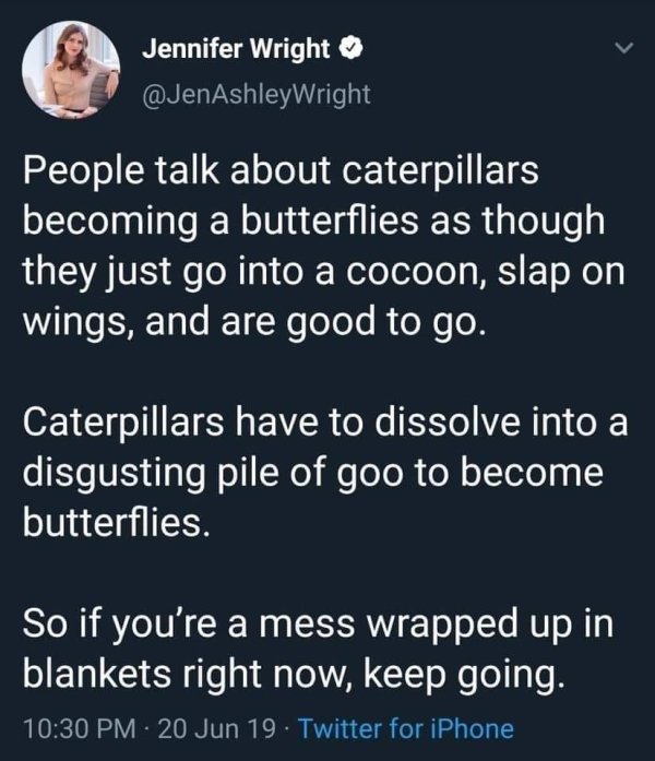 butterfly goo meme - Jennifer Wright People talk about caterpillars becoming a butterflies as though they just go into a cocoon, slap on wings, and are good to go. Caterpillars have to dissolve into a disgusting pile of goo to become butterflies. So if yo