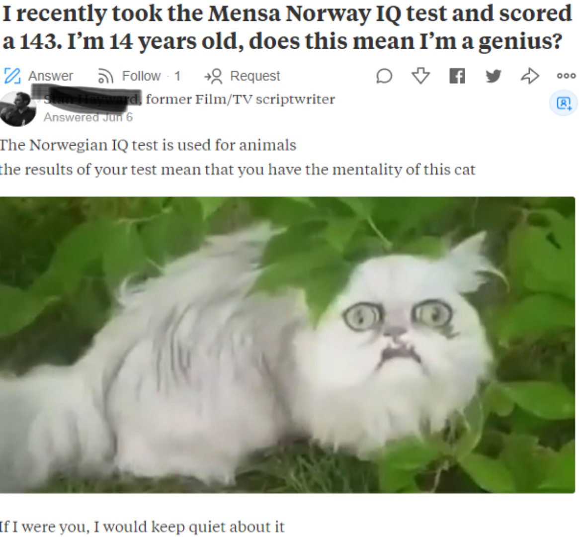blink motherfucker - I recently took the Mensa Norway Iq test and scored a 143. I'm 14 years old, does this mean I'm a genius? 2 Answer a 1 Request D a y ... former FilmTv scriptwriter Answered 6 The Norwegian Iq test is used for animals the results of yo