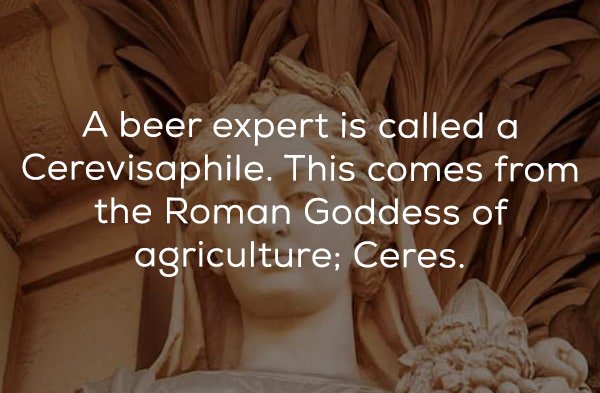 25 Beer facts to get you buzzed.