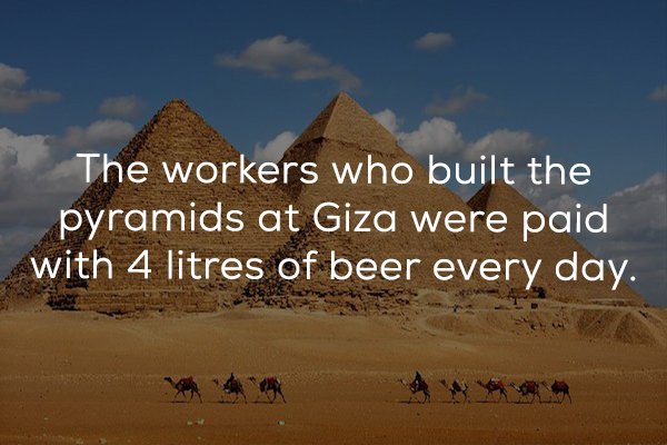 25 Beer facts to get you buzzed.