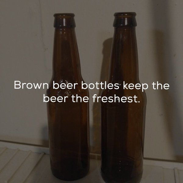 25 Beer facts to get you buzzed.