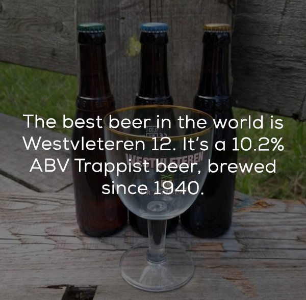 25 Beer facts to get you buzzed.