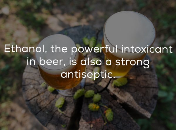 25 Beer facts to get you buzzed.