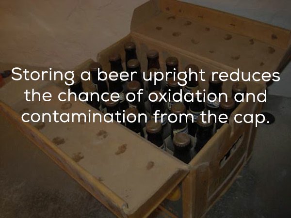 25 Beer facts to get you buzzed.