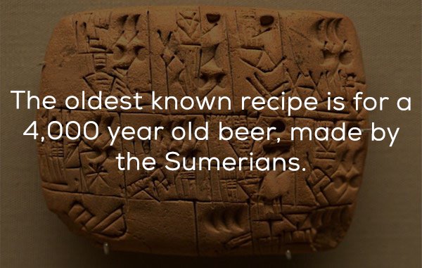 25 Beer facts to get you buzzed.