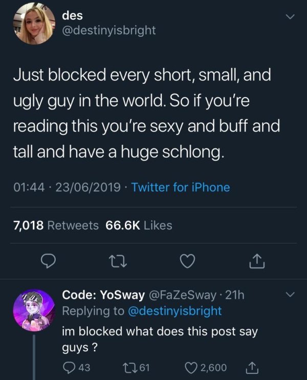 screenshot - des Just blocked every short, small, and ugly guy in the world. So if you're reading this you're sexy and buff and tall and have a huge schlong. . 23062019. Twitter for iPhone 7,018 Code YoSway . 21h im blocked what does this post say guys? '