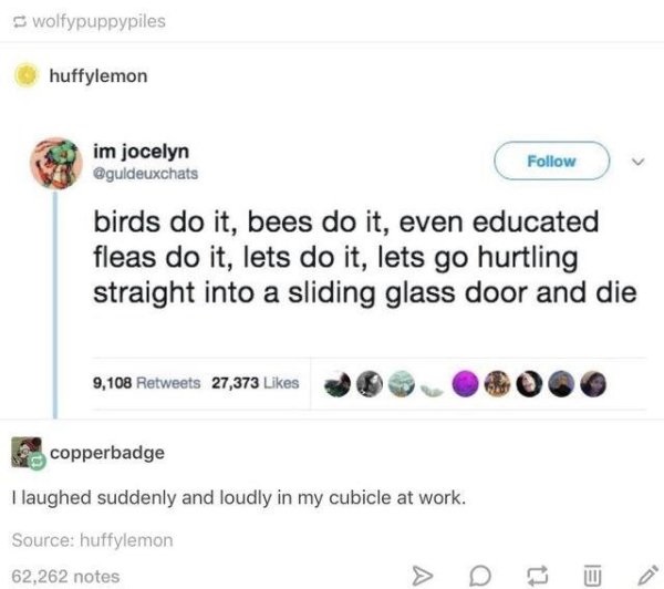 let's go hurtling into a sliding glass door and die - wolfypuppypiles huffylemon im jocelyn birds do it, bees do it, even educated fleas do it, lets do it, lets go hurtling straight into a sliding glass door and die 9,108 27,373 copperbadge I laughed sudd