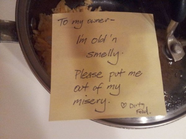 passive aggressive notes from flatmates - To my owner I'm oldin Smelly Please put me out of my misery. Dinto and