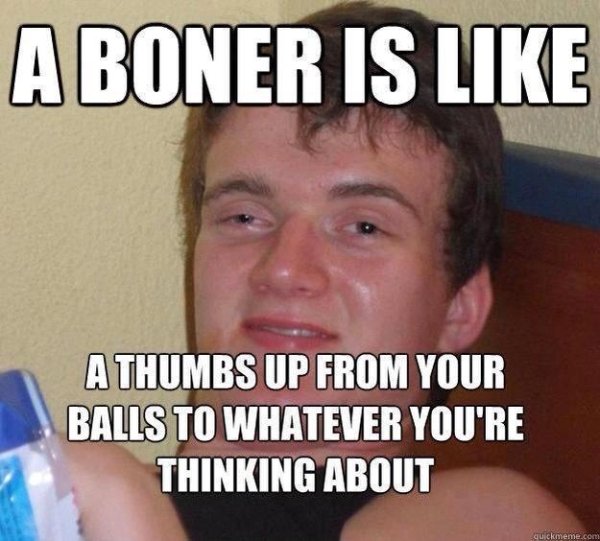 bagel bite meme - A Boner Is A Thumbs Up From Your Balls To Whatever You'Re Thinking About