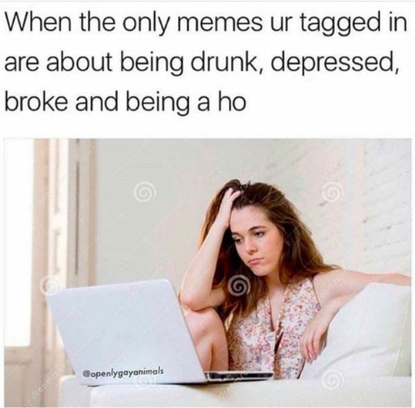 only memes you re tagged - When the only memes ur tagged in are about being drunk, depressed, broke and being a ho openlygayanimals