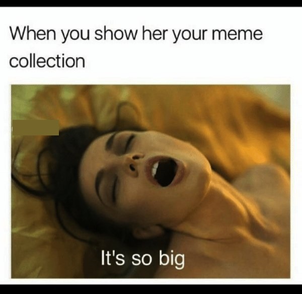 funny sex memes - When you show her your meme collection It's so big