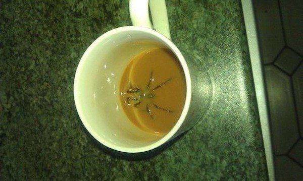 creepy spider in coffee cup