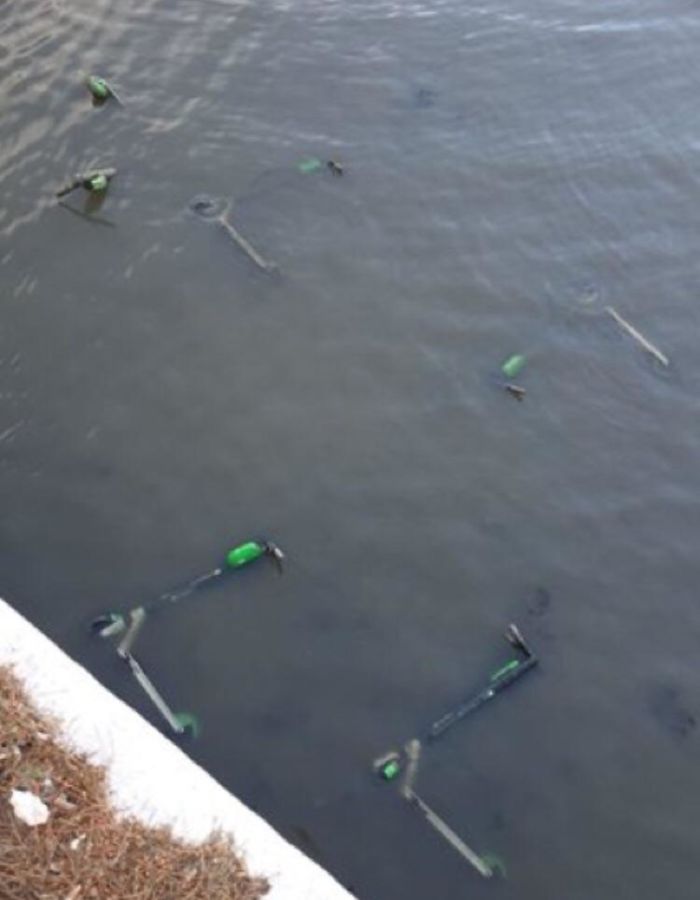 lime scooters thrown in the water
