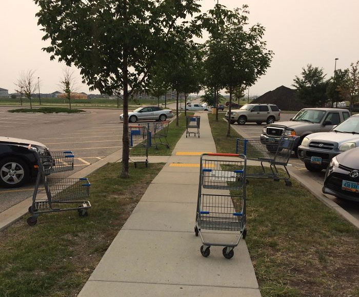 lane of shopping carts in a parking lot