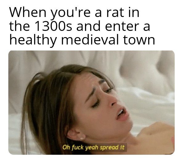 porn memes - When you're a rat in the 1300s and enter a healthy medieval town Oh fuck yeah spread it