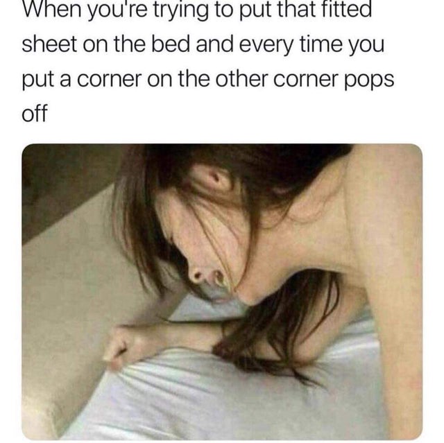 porn memes - your'e trying to put that fitted sheet on the bed - When you're trying to put that fitted sheet on the bed and every time you put a corner on the other corner pops off