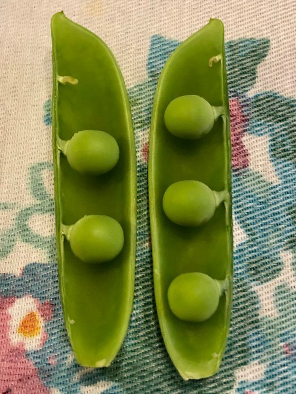 pea