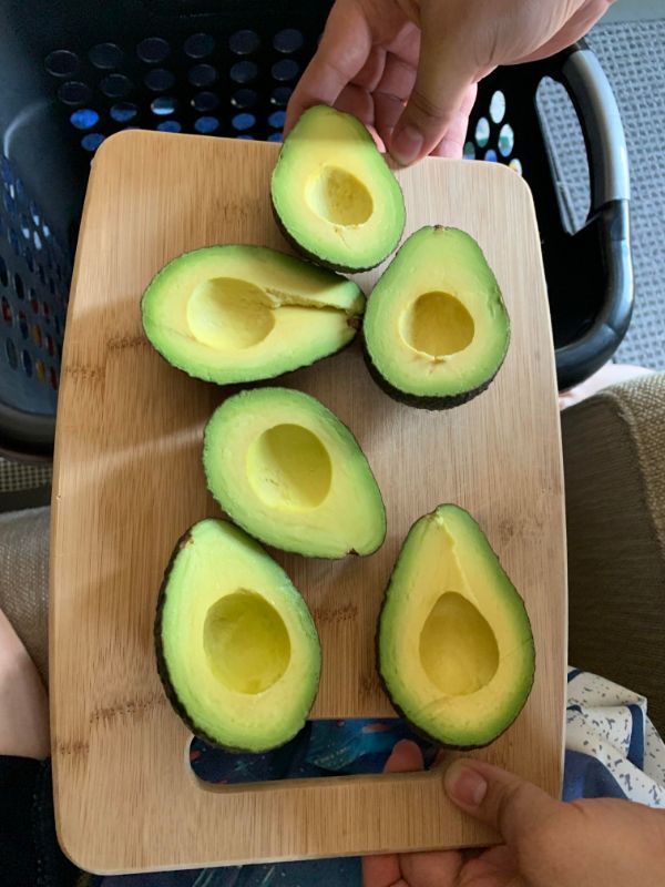 avocado