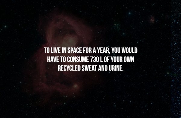 Space Facts - To Live In Space For A Year, You Would Have To Consume 730 L Of Your Own Recycled Sweat And Urine.