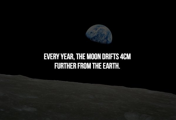 Space Facts - Every Year, The Moon Drifts 4CM Further From The Earth.