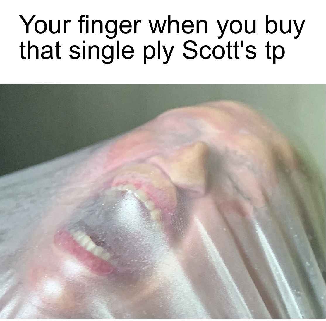 lip - Your finger when you buy that single ply Scott's tp
