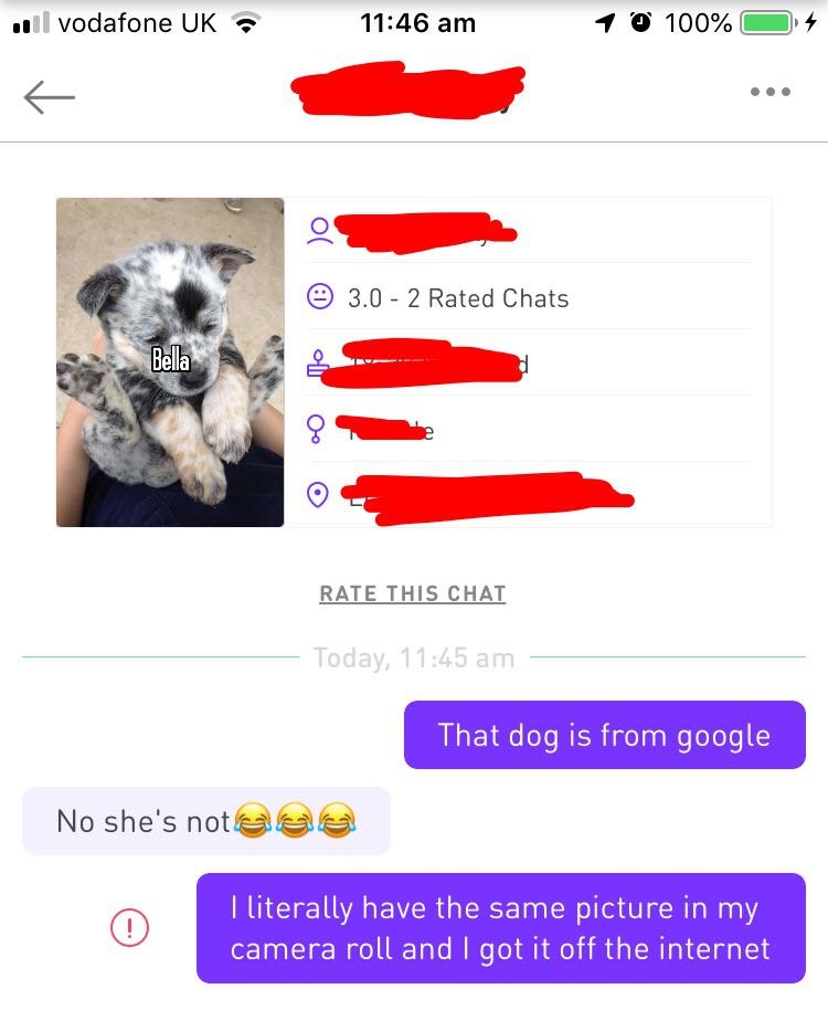 quit your bullshit - Bella Rate This Chat Today, That dog is from google No she's not eae I literally have the same picture in my camera roll and I got it off the internet