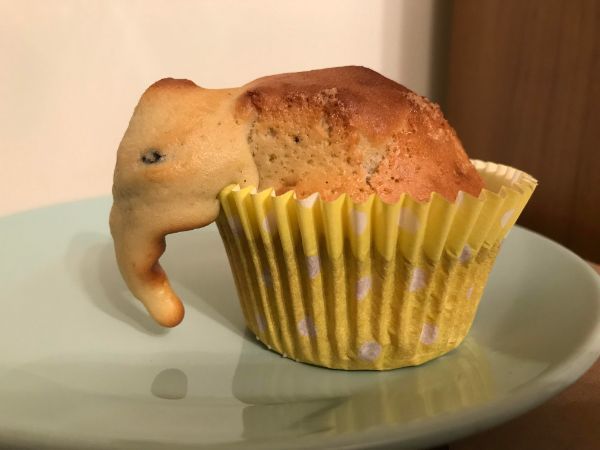 Elephant muffin.