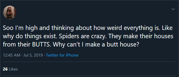 black twitter - Soo I'm high and thinking about how weird everything is. why do things exist. Spiders are crazy. They make their houses from their Butts. Why can't I make a butt house?
