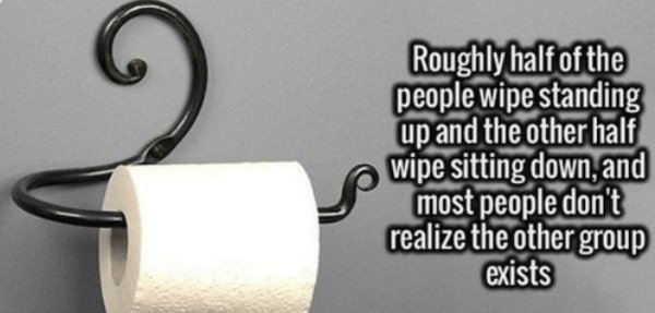 toilet paper - Roughly half of the people wipe standing up and the other half wipe sitting down, and most people don't realize the other group exists