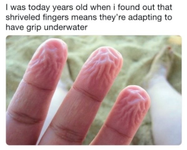 woke memes - I was today years old when i found out that shriveled fingers means they're adapting to have grip underwater